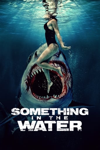 Poster de Something in the Water