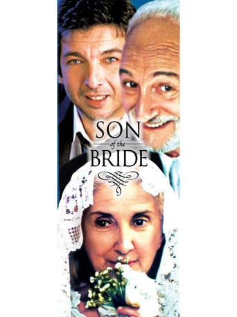 Poster de Son of the Bride