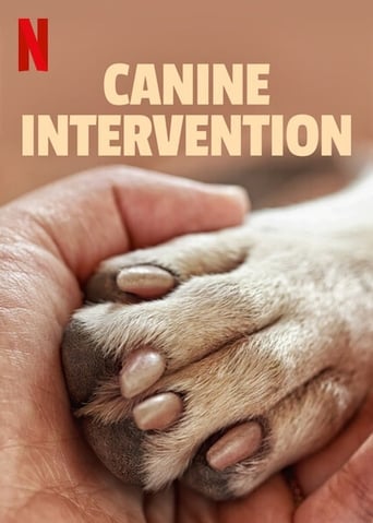 Poster de Canine Intervention