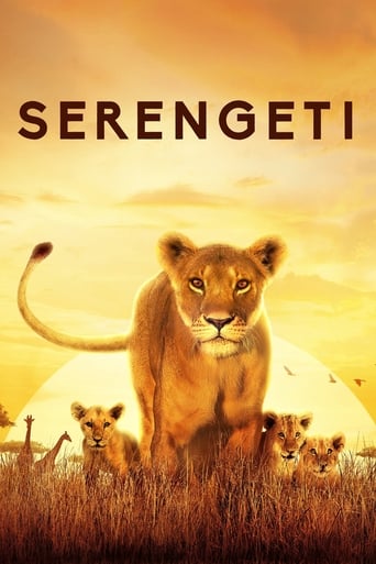 Poster de Serengeti