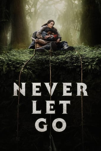 Poster de Never Let Go