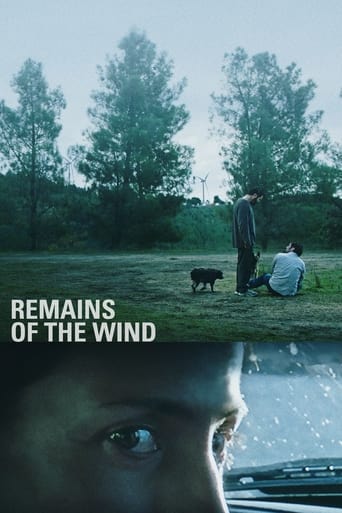 Poster de Remains of the Wind