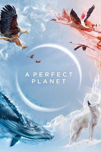 Poster de A Perfect Planet