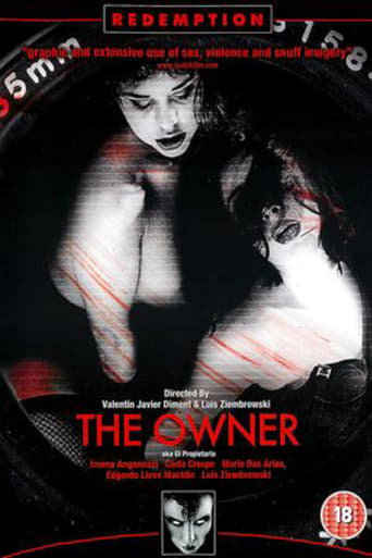 Poster de The Owner