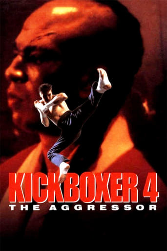 Poster de Kickboxer 4: The Aggressor