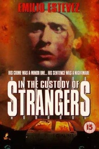 Poster de In the Custody of Strangers