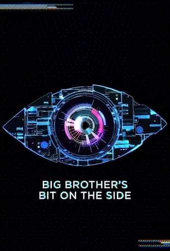 Poster de Big Brother's Bit on the Side