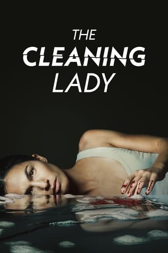 Poster de The Cleaning Lady