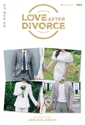 Poster de Love After Divorce