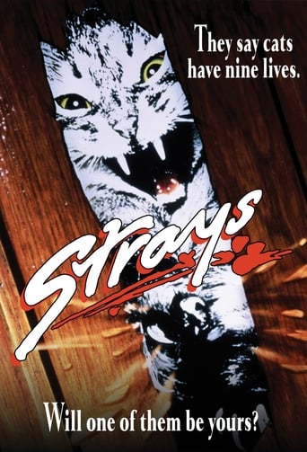 Poster de Strays