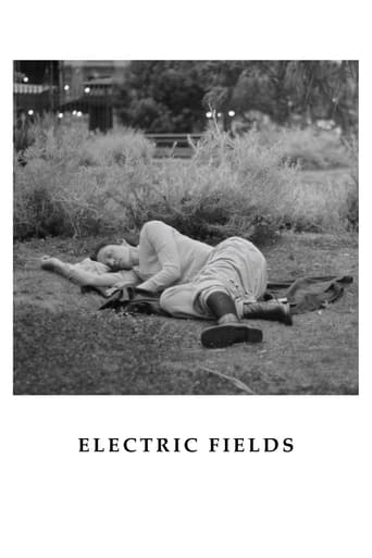 Poster de Electric Fields