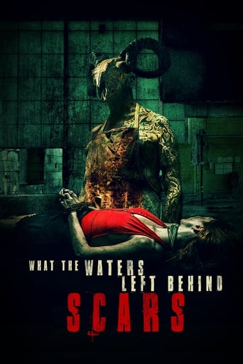 Poster de What the Waters Left Behind: Scars