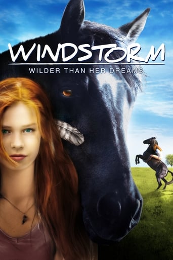 Poster de Windstorm