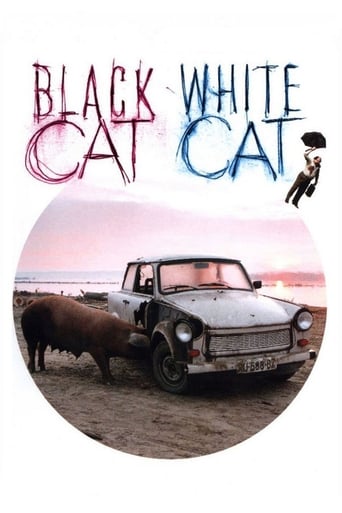 Poster de Black Cat, White Cat