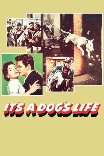 Poster de It's a Dog's Life