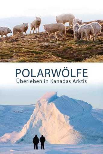 Poster de Polarwölfe - Überleben in Kanadas Arktis