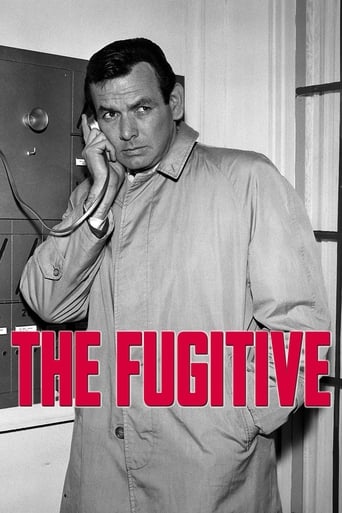 Poster de The Fugitive