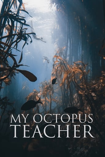 Poster de My Octopus Teacher