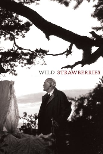 Poster de Wild Strawberries