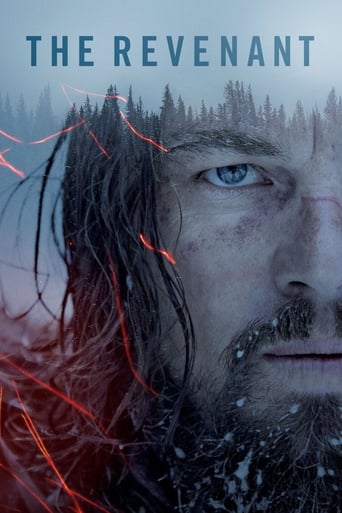 Poster de The Revenant