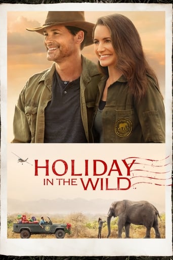 Poster de Holiday in the Wild