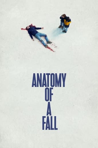 Poster de Anatomy of a Fall