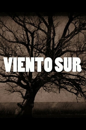 Poster de Viento Sur