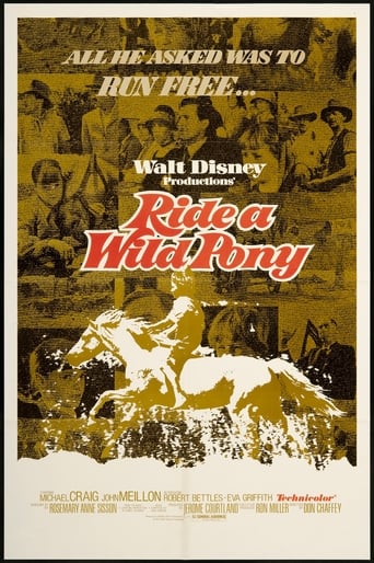 Poster de Ride a Wild Pony