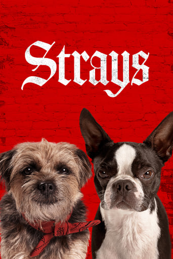 Poster de Strays