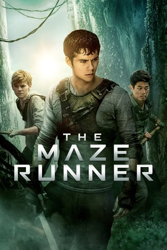 Poster de The Maze Runner