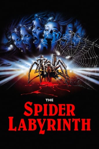 Poster de The Spider Labyrinth