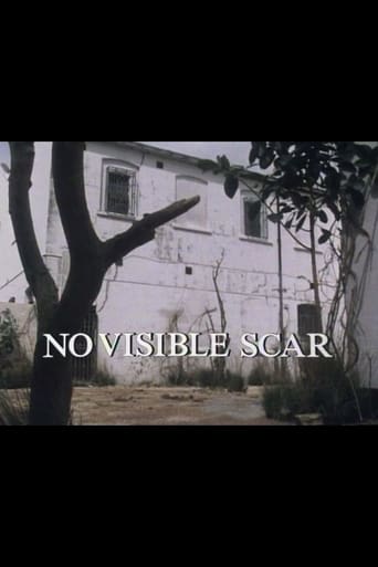 Poster de No Visible Scar