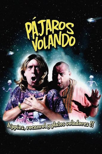 Poster de Pájaros volando