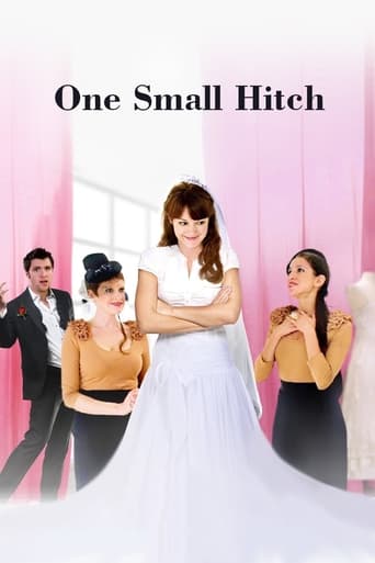 Poster de One Small Hitch