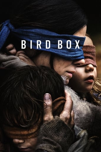 Poster de Bird Box