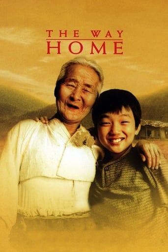 Poster de The Way Home