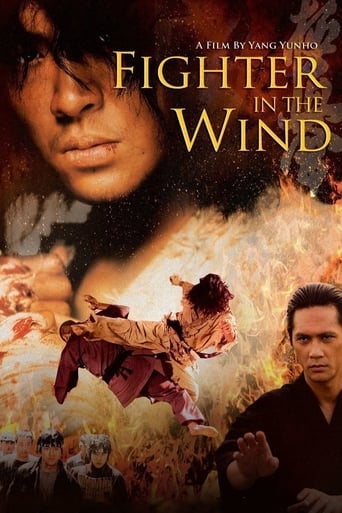 Poster de Fighter in the Wind