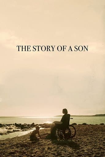 Poster de The Story of a Son