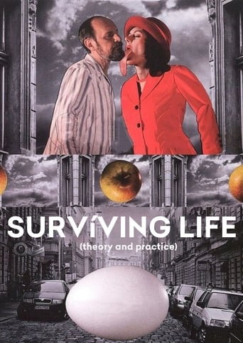 Poster de Surviving Life (Theory and Practice)