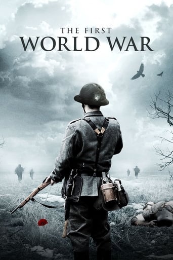 Poster de The First World War