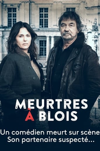 Poster de Meurtres à Blois