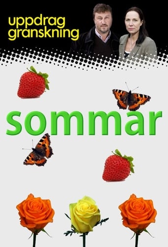 Poster de Uppdrag granskning sommar