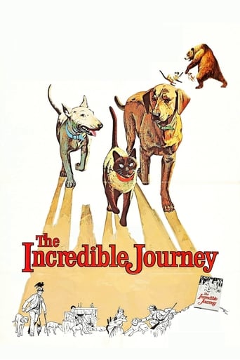 Poster de The Incredible Journey