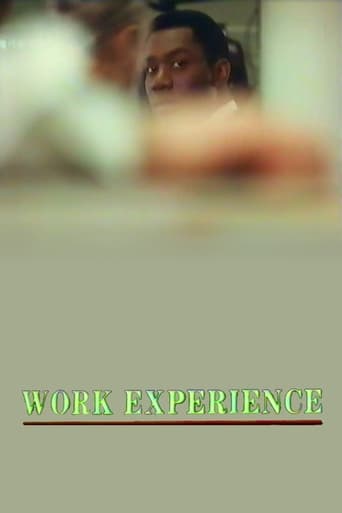 Poster de Work Experience