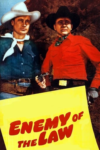 Poster de Enemy of the Law