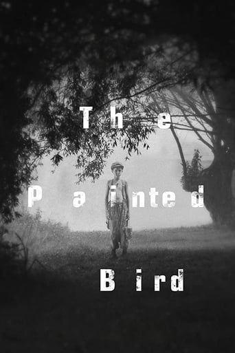 Poster de The Painted Bird