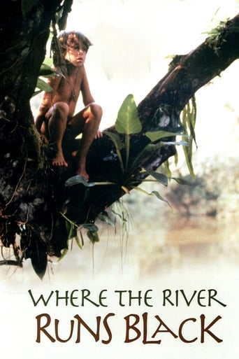 Poster de Where the River Runs Black