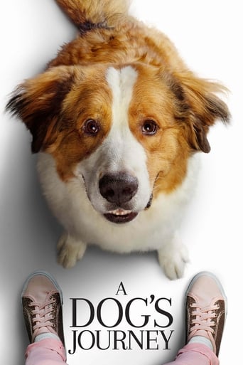 Poster de A Dog's Journey