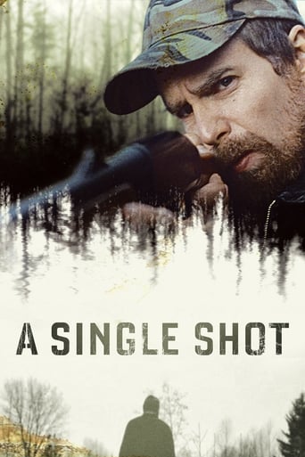 Poster de A Single Shot